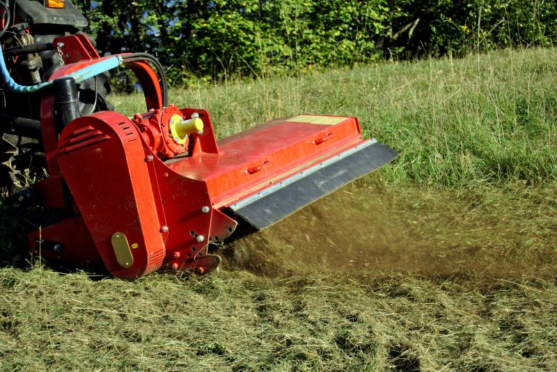Land Clearing in Progress