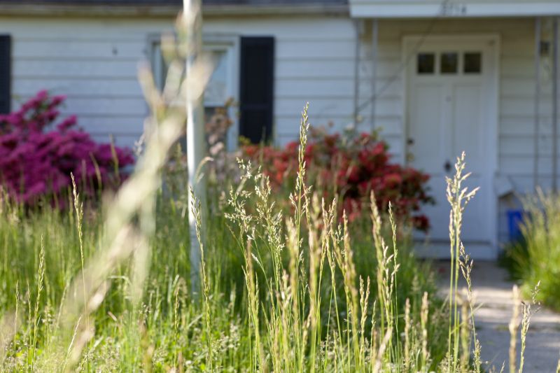 Meadow Mowing in Prince Georges County, MD